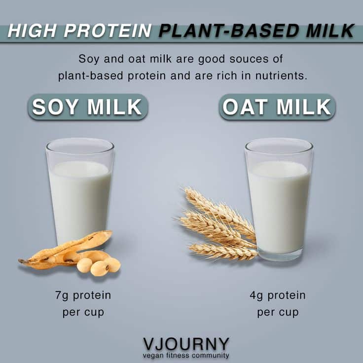 High protein plant