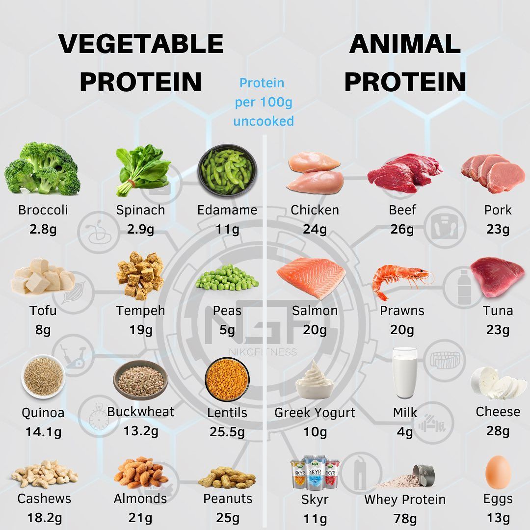 How Much Protein Should I Eat In Each Meal