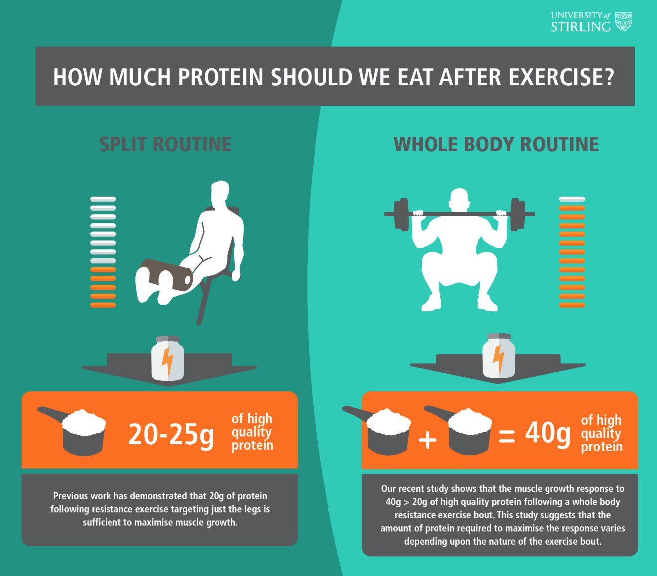 How Much Protein You Need After a Workout
