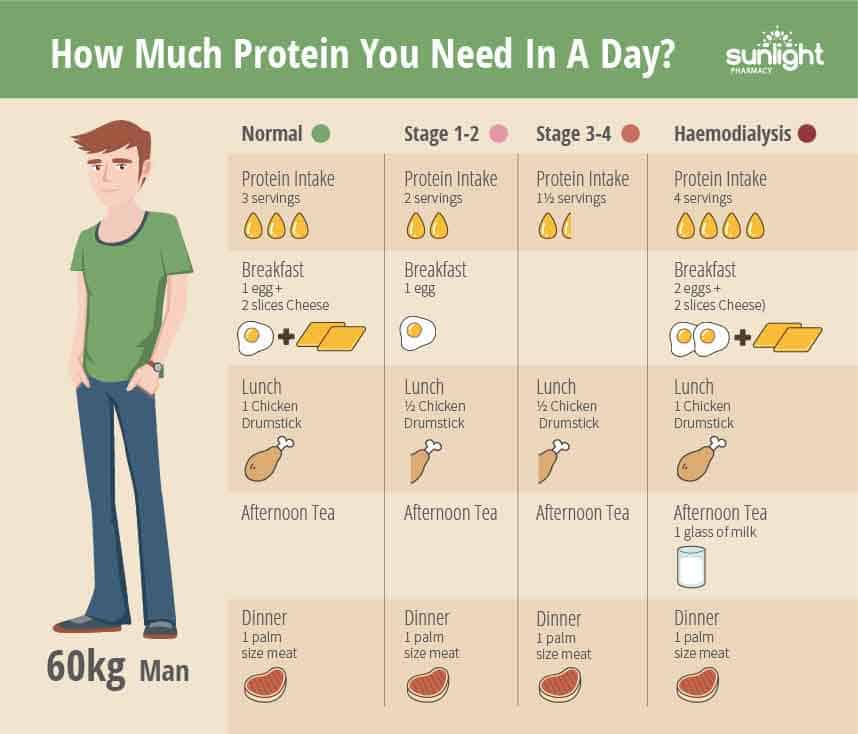 Is Too Much Protein Bad for My Kidneys?  Sunlight Pharmacy