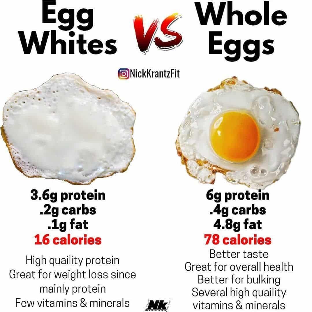Protein In Egg White : Rich Piana