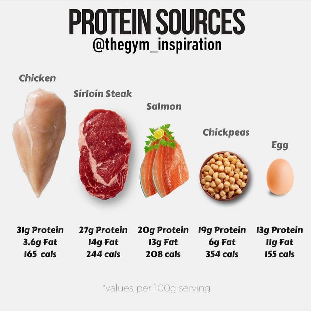 Protein makes up the building blocks of organs muscles hormones skin an ...