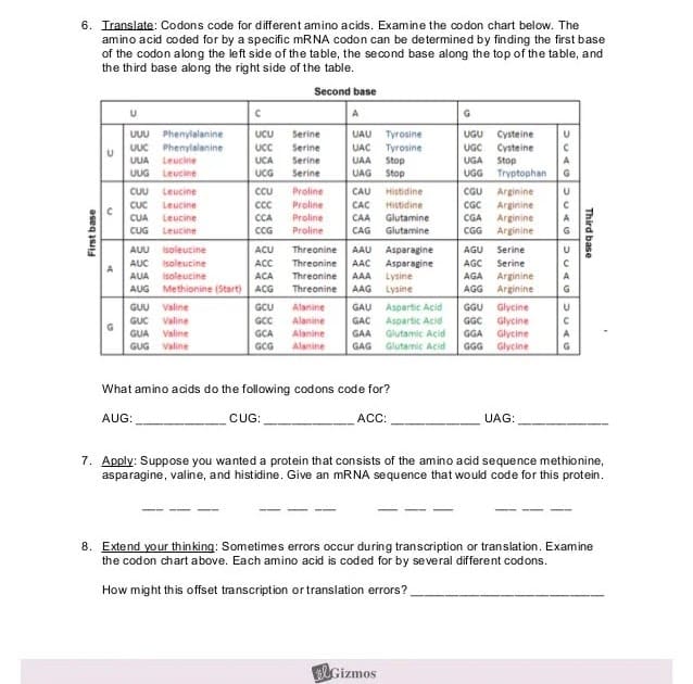 Student Exploration Rna And Protein Synthesis Answer Key Activity B