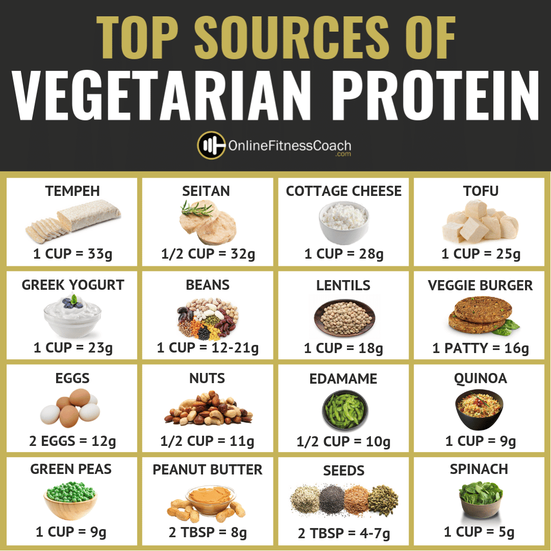 Top Sources Of Vegetarian Protein