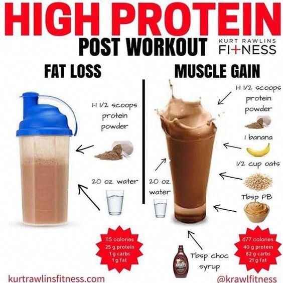 What Are Good Protein Shakes To Gain Weight